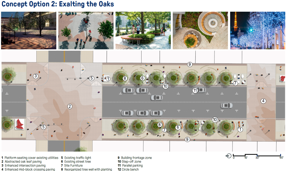 Concept Option 2: Exalting the Oaks