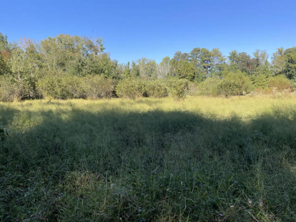 Approximately one-third of the Kyle Drive Park is a non-forested wetland. What amenities related to the wetland would you like to see?